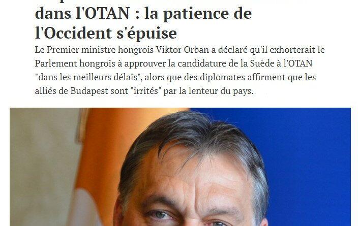 orban otan