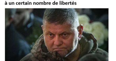 zaloujny libertes
